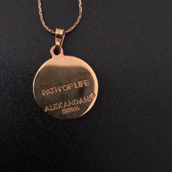 Alex & Ani color infusion Path of Life necklace - Picture 4 of 4